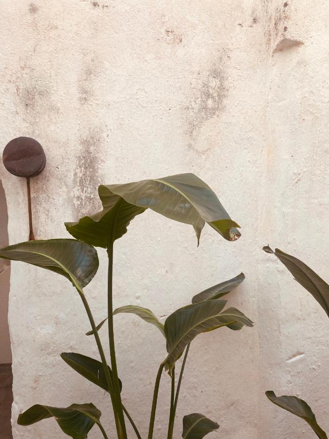 Corte San Giorgio マティーノ エクステリア 写真